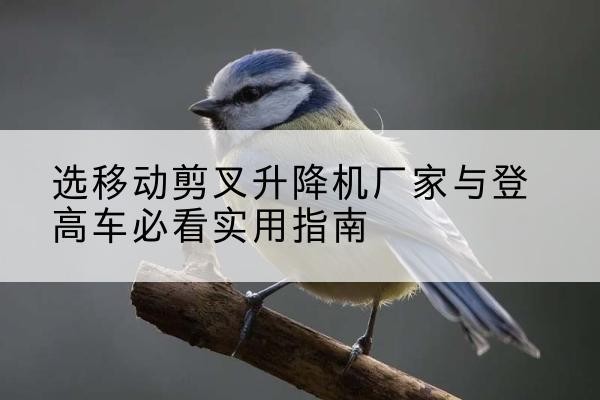 牙克石电动升降机厂家-选移动剪叉升降机厂家与登高车必看实用指南