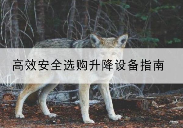 牙克石升降货梯厂家推荐-*安全选购升降设备指南